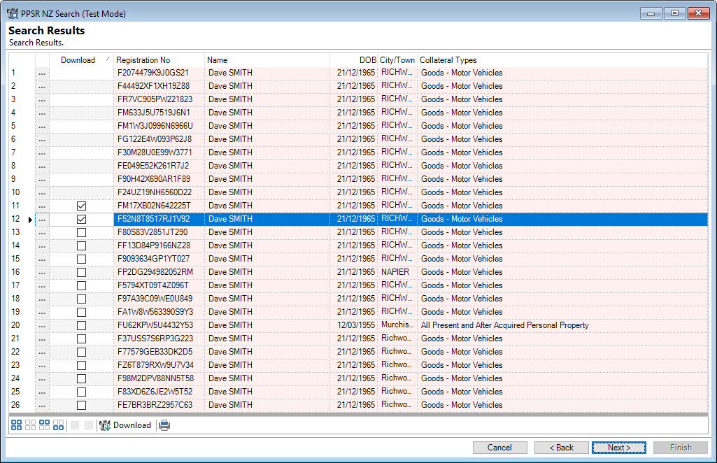 PPSR NZ Search, Debtor Person 4